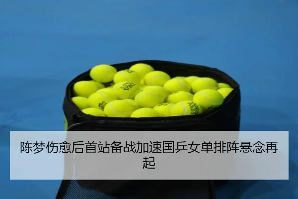 陈梦伤愈后首站备战加速国乒女单排阵悬念再起